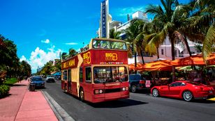 A bright red Big Bus Miami gracefully navigating the streets, embracing the serene ambiance of the city's atmosphere.